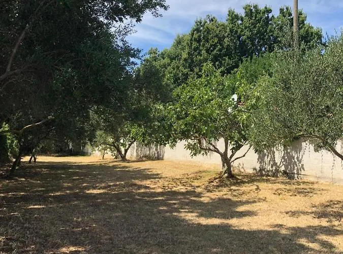 Axelsson In 빌라 메덜린